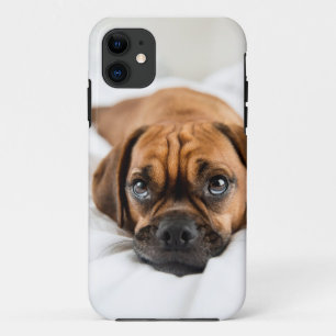 Case-Mate iPhone Case Cas mignon de chien de Puggle