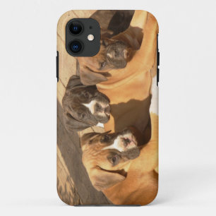 Case-Mate iPhone Case Cas universel de l'iPhone 5 de chiots de boxeur à