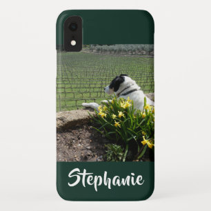 Case-Mate iPhone Case Casemate Chien et vignes iPhone XR XS Max