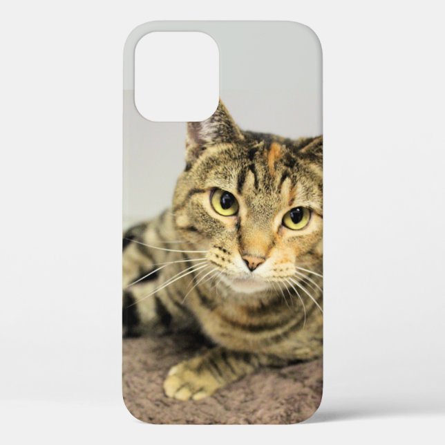 Coques Case-Mate iPhone Cat (Verso)
