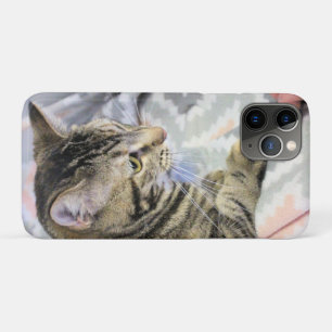 Case-Mate iPhone Case Cat