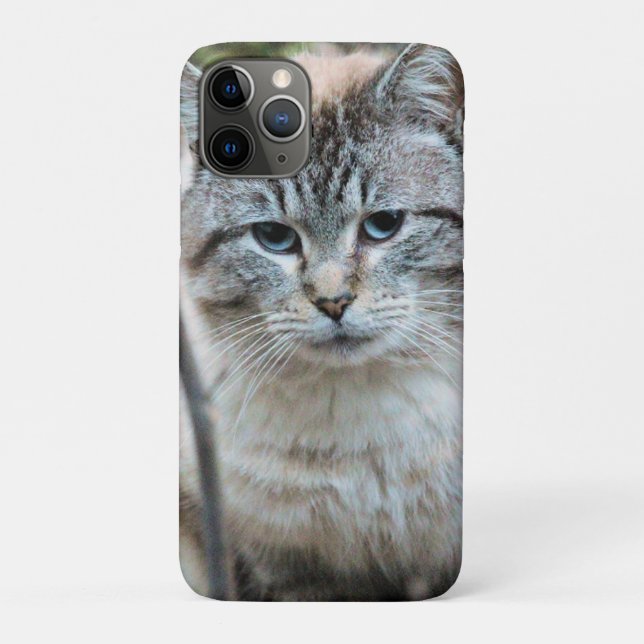Coques Case-Mate iPhone Cat (Dos)