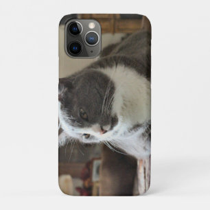 Case-Mate iPhone Case Cat