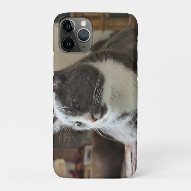 Coques Case-Mate iPhone Cat (Dos)