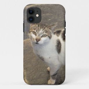 Etui iPhone Case-Mate Cat iPhone 5 coque-mate