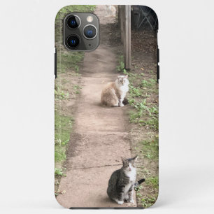 Case-Mate iPhone Case Cat Phone