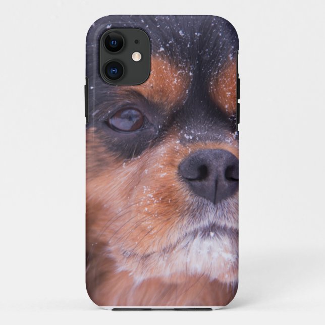 Coques Case-Mate iPhone Cavalier King Charles Spaniel Fléau de neige (Dos)