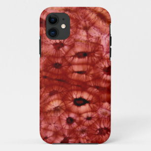 Coque Case-Mate Pour iPhone Cellules de Sclerenchyma d'un puits de cerise