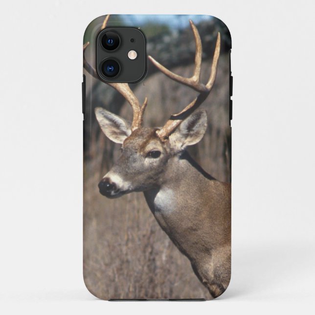 Coques Case-Mate iPhone Cerf à queue blanche - couverture iPhone 5 (Dos)
