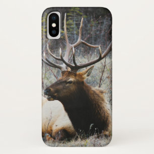 Case-Mate iPhone Case Cerfs communs