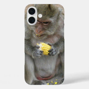 iPhone 16 Plus Case C'est à moi ! ! ... Singe Macaque thaïlandais sauv