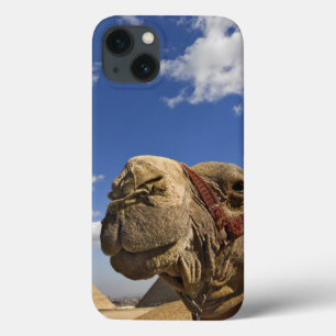 Case-Mate iPhone Case Chameau devant les pyramides de Giza, Égypte,