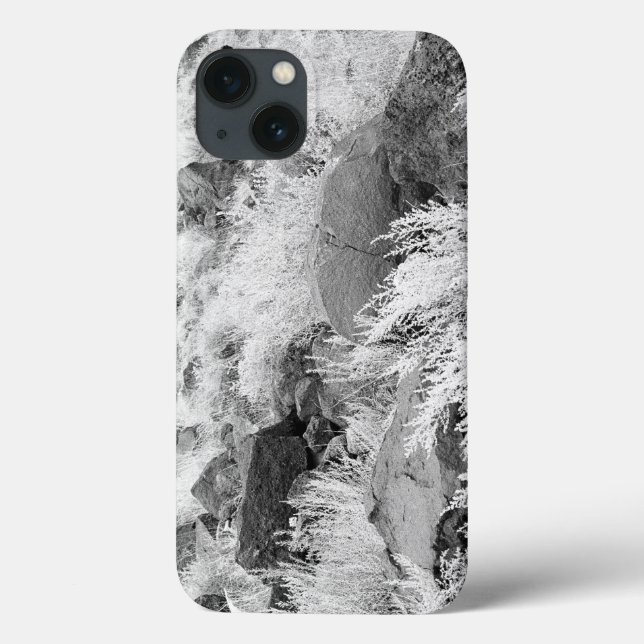 Coques Case-Mate iPhone Champ de Basalte (Verso)