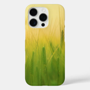 Coques iPhone 16 Pro Champ de blé vert avec ciel poussiéreux