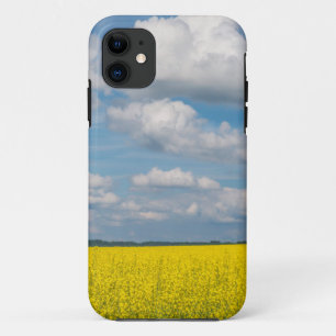 Coques Pour iPhone Champ de Canola & Nuages