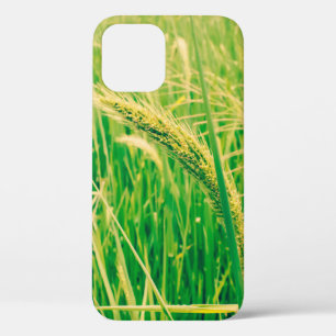 Case-Mate iPhone Case Champ de riz en rural et frais, vintage style