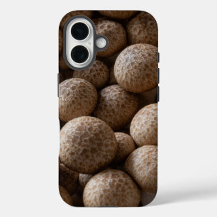 Coque Pour iPhone 16 Champignon brun hêtre (Hypsizygus Marmoreus) amusa