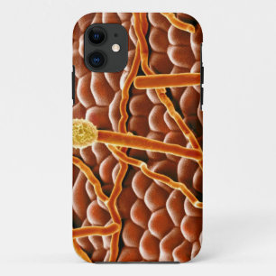 Case-Mate iPhone Case Champignon de rouille pulvérulente sur la