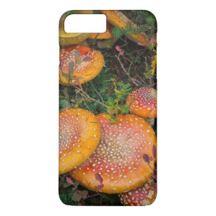 Coque iPhone 8 Plus/7 Plus Champignons amanites tue-mouches au lac Mowich