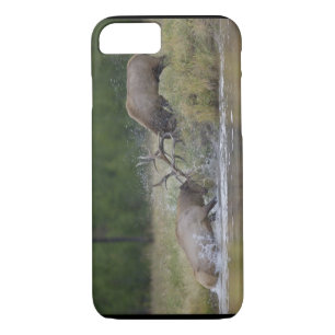 Coques Pour iPhone Championnats d'Elk, Yellowstone NP, Wyoming