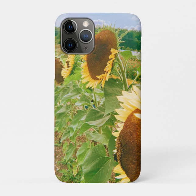 Coques Case-Mate iPhone Champs de tournesol (Dos)