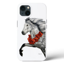 Charismatique Vacances Islandais Cheval