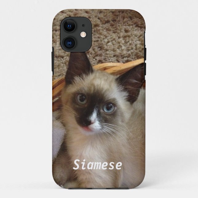 Coques Case-Mate iPhone Chat siamois mignon (Dos)