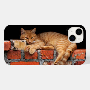 Coque Pour iPhone 14 Plus Chat sur mur de brique