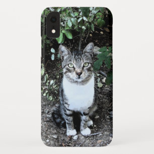 COQUE Case-Mate POUR iPhone CHAT TURQUE NOIR ET BLANC RONIN