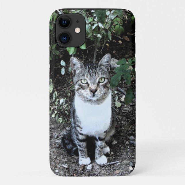 COQUES Case-Mate iPhone CHAT TURQUE NOIR ET BLANC RONIN (Dos)