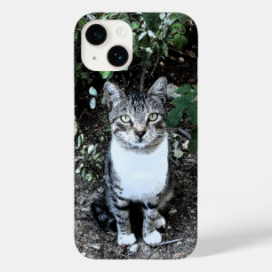 COQUE POUR iPhone 14 CHAT TURQUE NOIR ET BLANC RONIN
