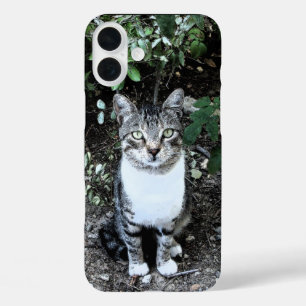 COQUES iPhone 16 PLUS CHAT TURQUE NOIR ET BLANC RONIN