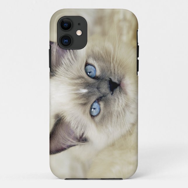 Coques Case-Mate iPhone chaton Ragdoll (Dos)