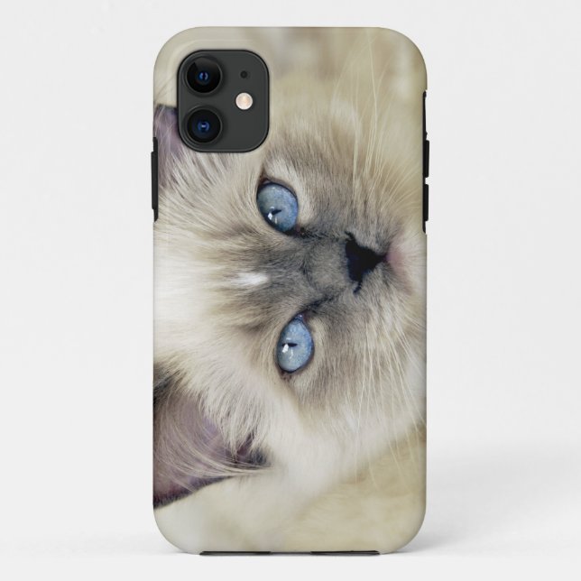 Coques Case-Mate iPhone Chaton Ragdoll (Dos)