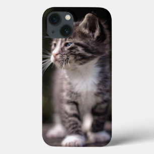 iPhone 13 Case Chaton se tenant grand