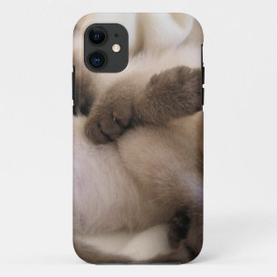 Coques Pour iPhone Chaton siamois mignon de chat d'animal familier de