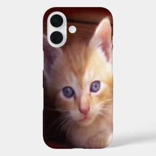 Coque Pour iPhone 16 Chatons