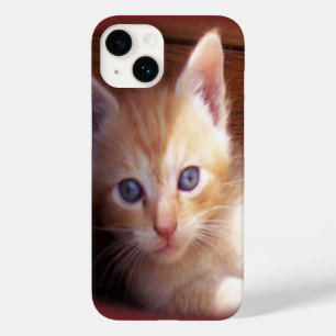 Coque Pour iPhone 14 Chats