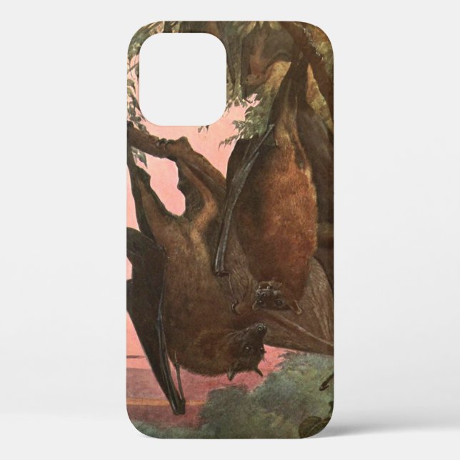 Coques Case-Mate iPhone Chauves-souris renards volantes par Austen, Animau (Verso)