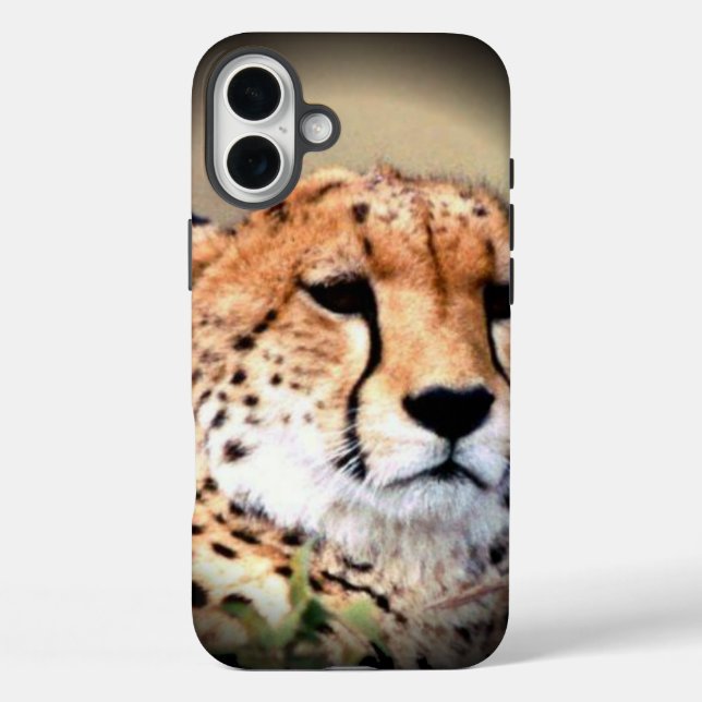 Coques Case-Mate iPhone Cheetah Portrait par Pleine lune : La grâce de la  (Verso)
