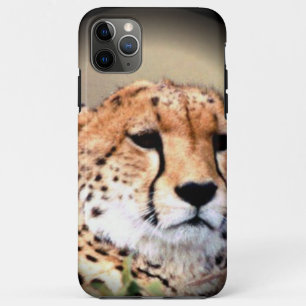 Coque Case-Mate Pour iPhone Cheetah Portrait, Pleine lune : La grâce de la nat