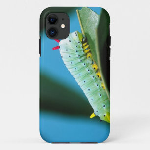 Etui iPhone Case-Mate Chenille du papillon Prométhée, Callosamia
