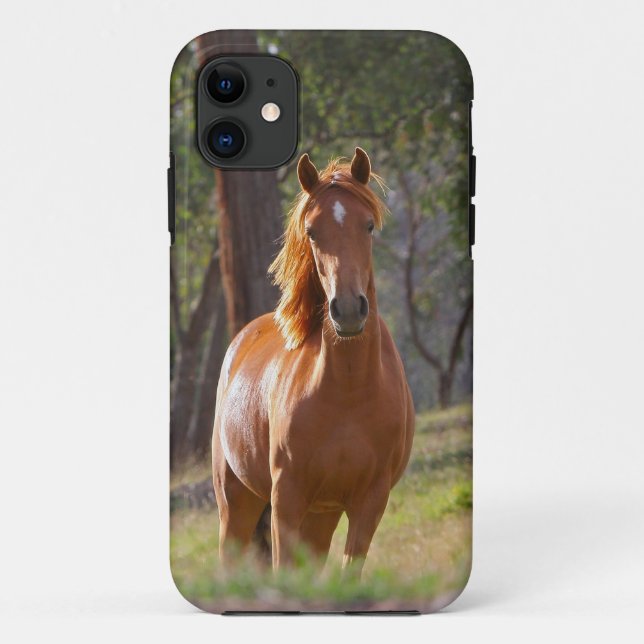Coques Case-Mate iPhone Cheval dans les bois (Dos)