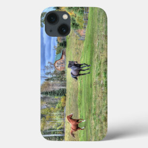 Coques Pour iPhone Cheval de châtaignier à la recherche d'un étalon n