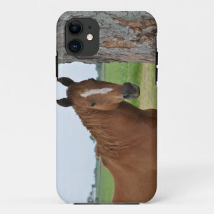 Coque Case-Mate Pour iPhone Cheval debout près de l'arbre