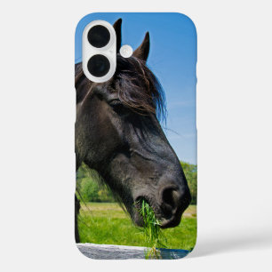 Coque Pour iPhone 16 Cheval friésien noir