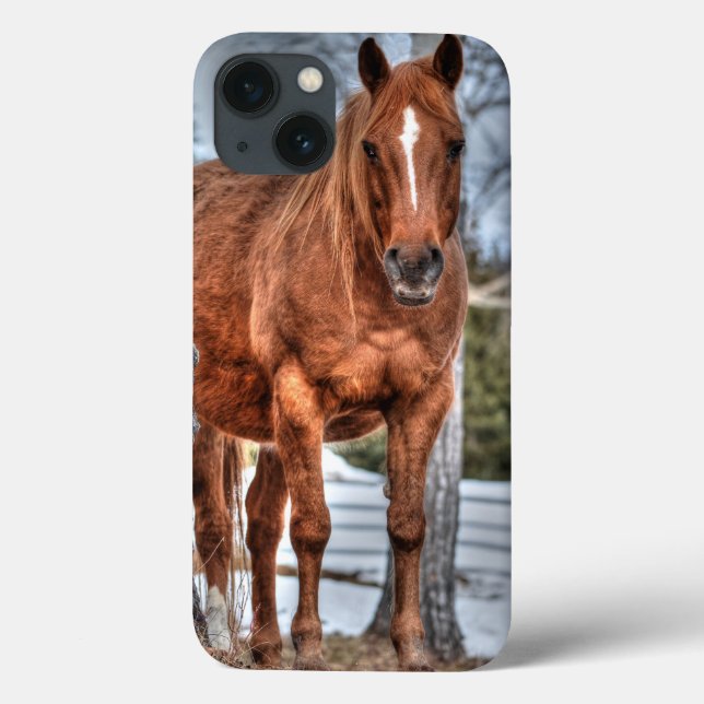 Coques Case-Mate iPhone Chevaux - American Western Theme (Verso)