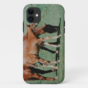 COQUE Case-Mate POUR iPhone CHEVAUX AMICAUX