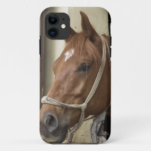 Coques Pour iPhone Chevaux arabes