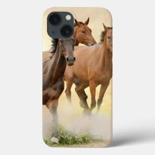 Coques Pour iPhone Chevaux dans le coucher du soleil